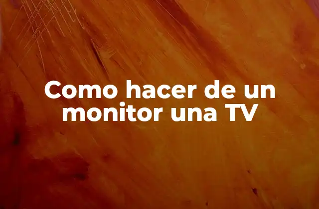 Como Hacer de un Monitor una Tv
