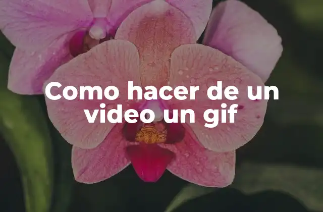 Como Hacer de un Video un Gif 2 ¿Qué es un gif y para qué sirve?