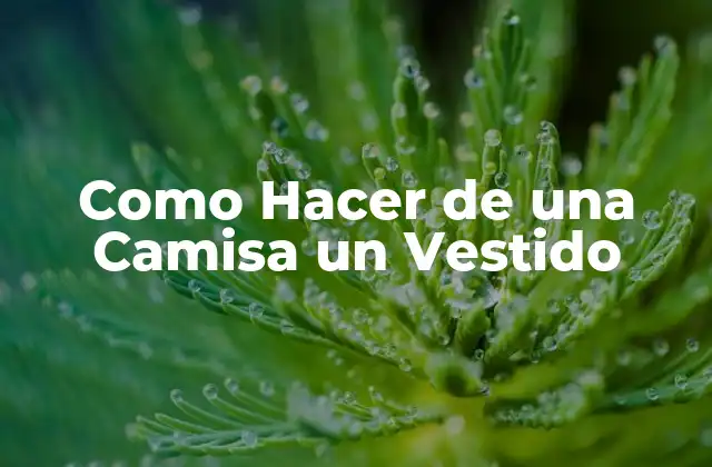 Como Hacer de una Camisa un Vestido