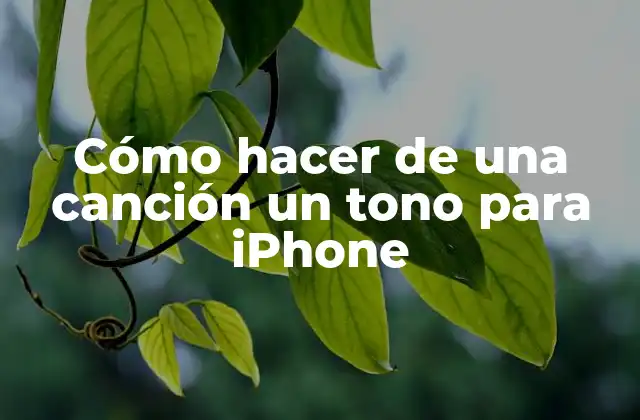 Cómo Hacer de una Canción un Tono para Iphone