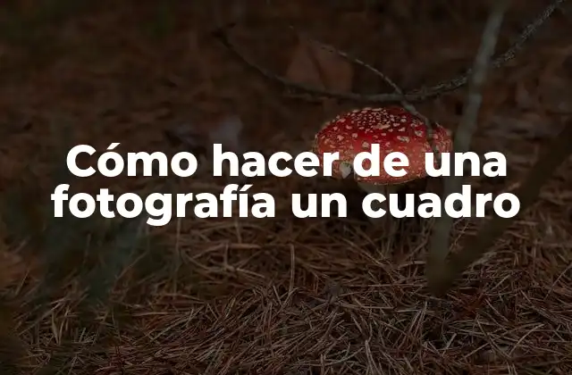 Cómo Hacer de una Fotografía un Cuadro