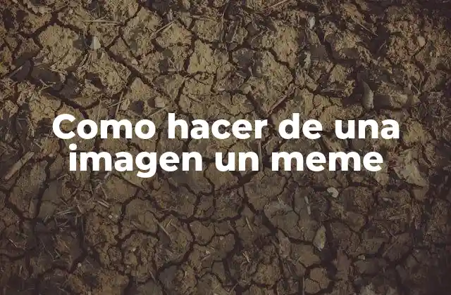 Como Hacer de una Imagen un Meme