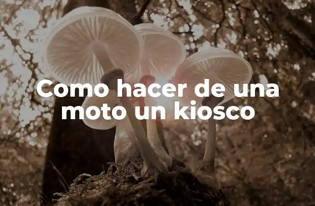 Como Hacer de una Moto un Kiosco