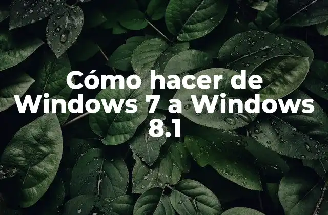Cómo Hacer de Windows 7 a Windows 8.1