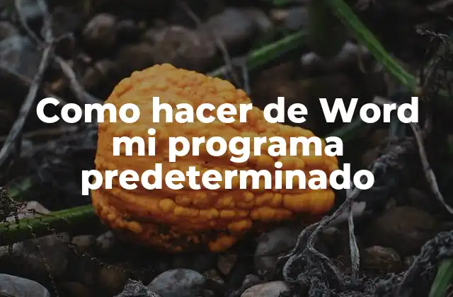 Como Hacer de Word Mi Programa Predeterminado
