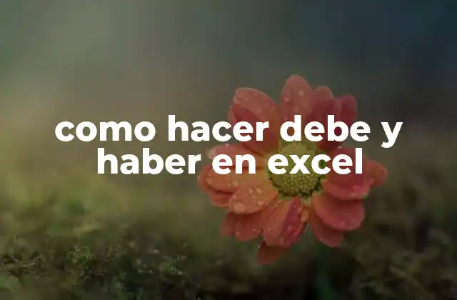 Como Hacer Debe y Haber en Excel