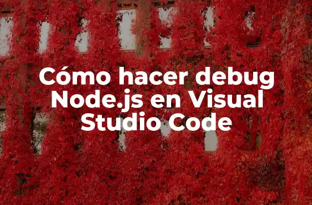 Cómo Hacer Debug Node.js en Visual Studio Code