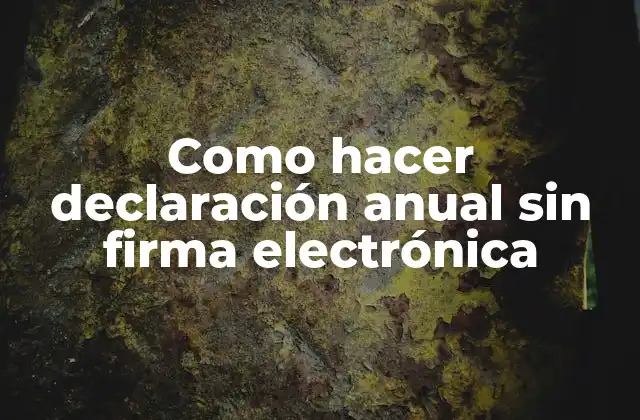 Como Hacer Declaración Anual sin Firma Electrónica