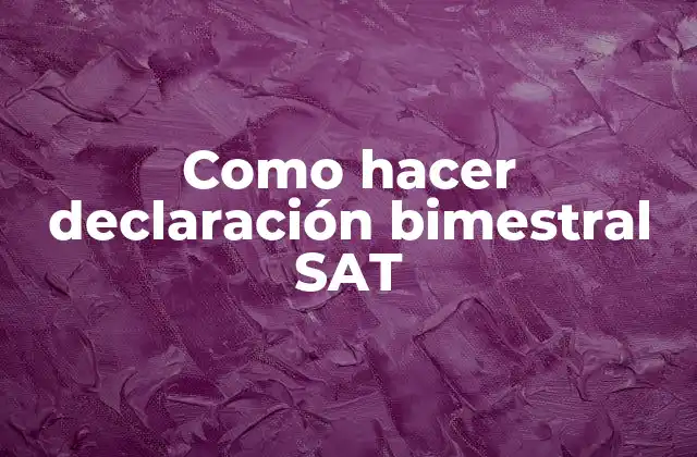 Como Hacer Declaración Bimestral Sat