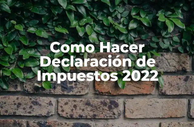 Como Hacer Declaración de Impuestos 2022