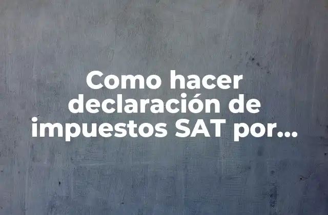 Como Hacer Declaración de Impuestos Sat por Internet