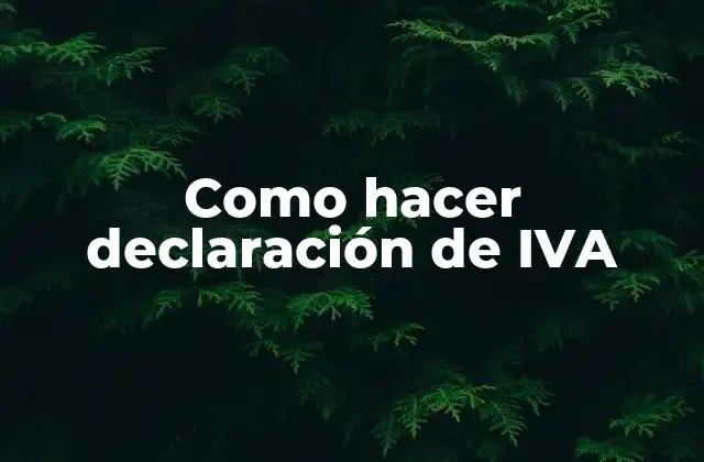 Como Hacer Declaración de Iva 2 ¿Qué es la declaración de IVA?