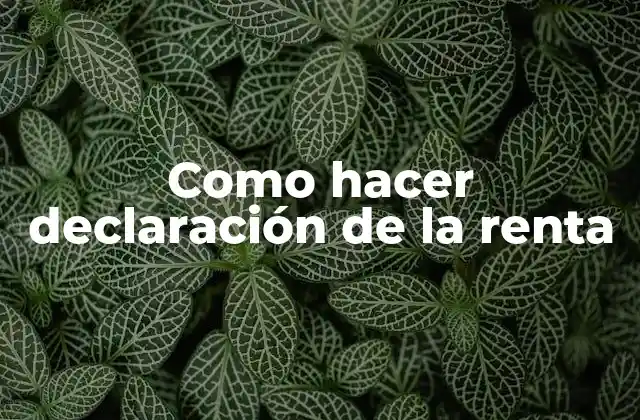 Como Hacer Declaración de la Renta