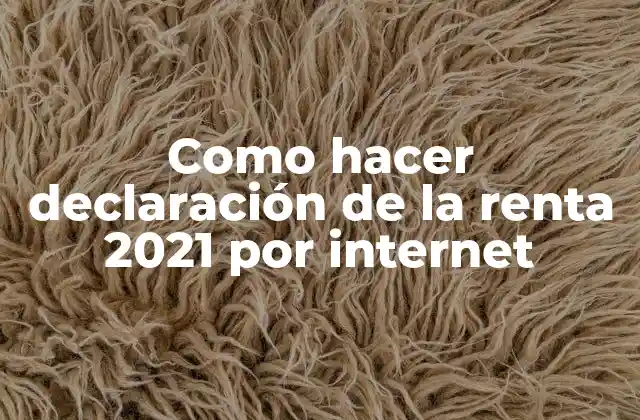 Como Hacer Declaración de la Renta 2021 por Internet