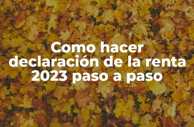 Como Hacer Declaración de la Renta 2023 Paso a Paso