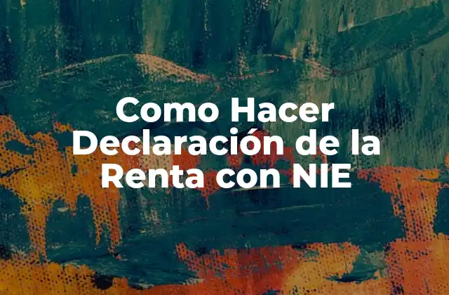 Como Hacer Declaración de la Renta con Nie