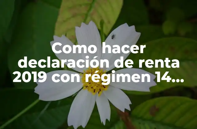 Como Hacer Declaración de Renta 2019 con Régimen 14 Ter