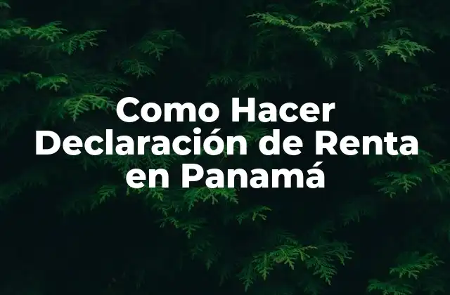Como Hacer Declaración de Renta en Panamá