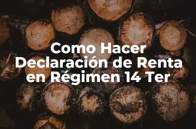 Como Hacer Declaración de Renta en Régimen 14 Ter