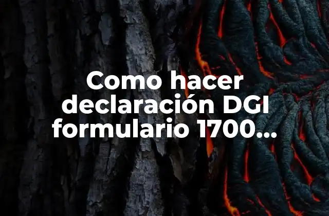 Como Hacer Declaración Dgi Formulario 1700 Uruguay