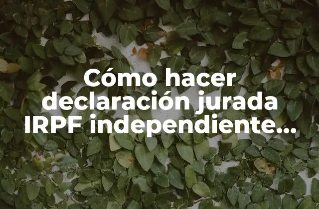 Cómo Hacer Declaración Jurada Irpf Independiente Online