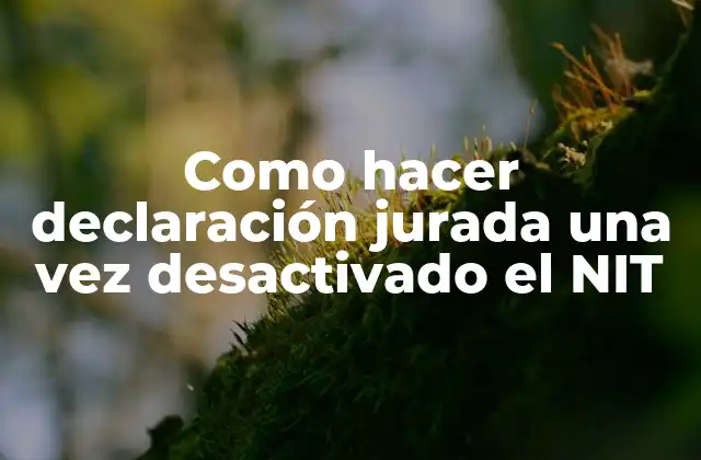 Como Hacer Declaración Jurada una Vez Desactivado el Nit