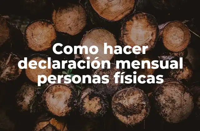 Como Hacer Declaración Mensual Personas Físicas