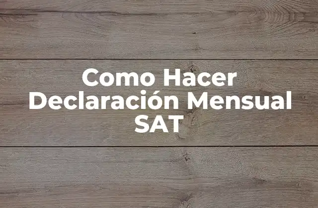 Como Hacer Declaración Mensual Sat