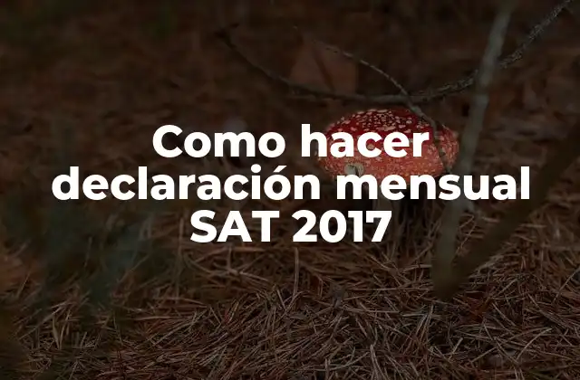 Como Hacer Declaración Mensual Sat 2017