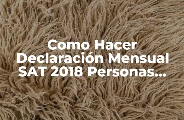 Como Hacer Declaración Mensual Sat 2018 Personas Morales