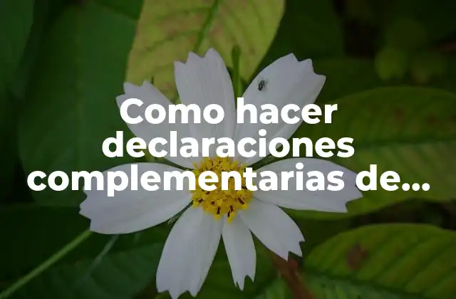 Como Hacer Declaraciones Complementarias de Años Anteriores