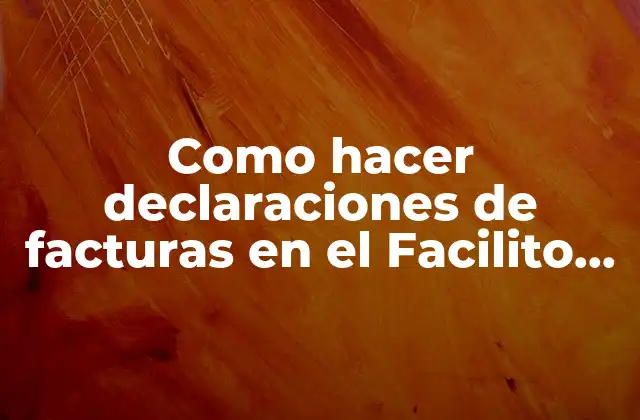 Como Hacer Declaraciones de Facturas en el Facilito Youtube
