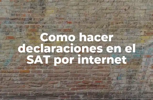Como Hacer Declaraciones en el Sat por Internet