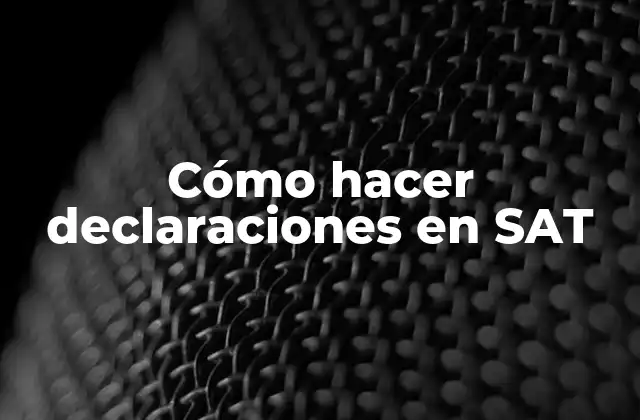 Cómo hacer declaraciones en SAT