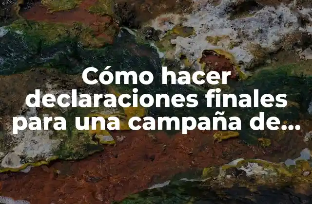 Cómo Hacer Declaraciones Finales para una Campaña de Publicidad