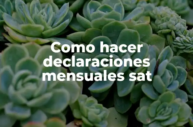 Como Hacer Declaraciones Mensuales Sat