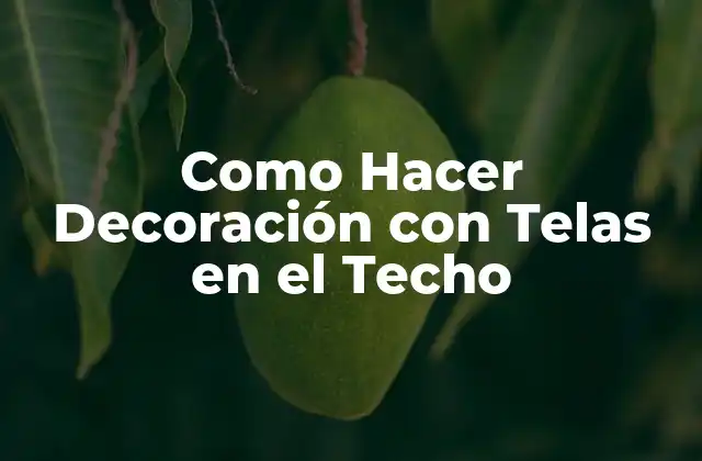Como Hacer Decoración con Telas en el Techo