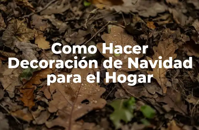 Como Hacer Decoración de Navidad para el Hogar