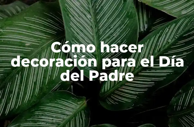 Cómo Hacer Decoración para el Día Del Padre