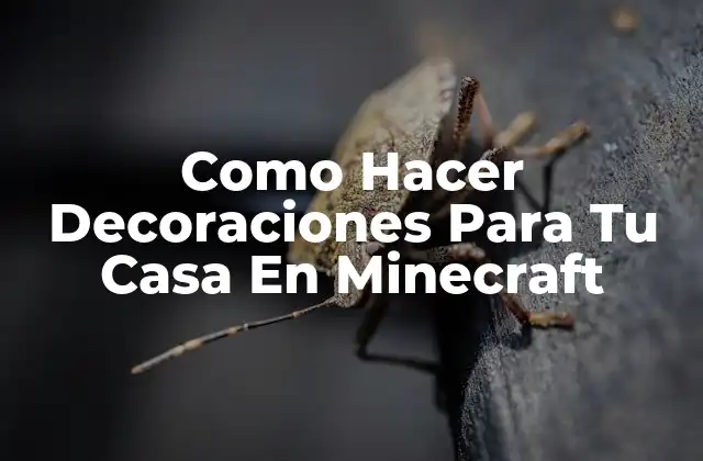 Decoraciones en Minecraft