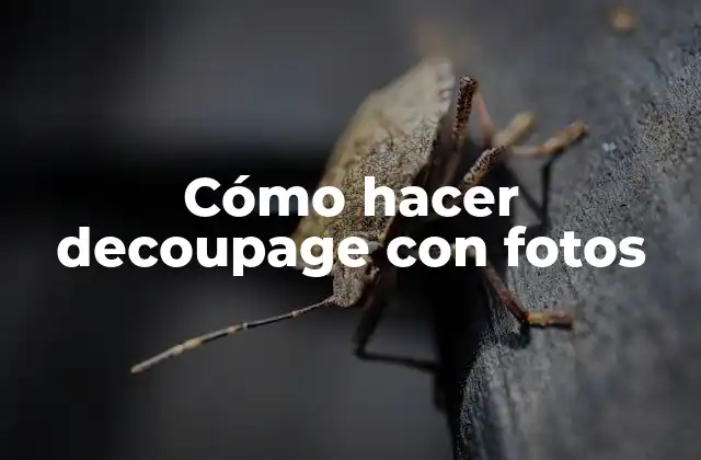 Decoupage con fotos: qué es y para qué sirve