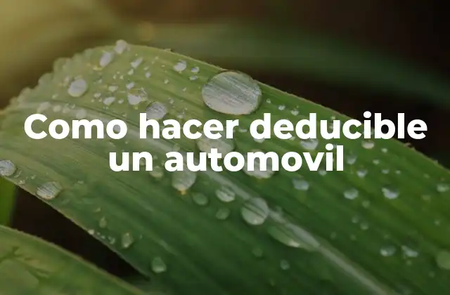 Como Hacer Deducible un Automovil