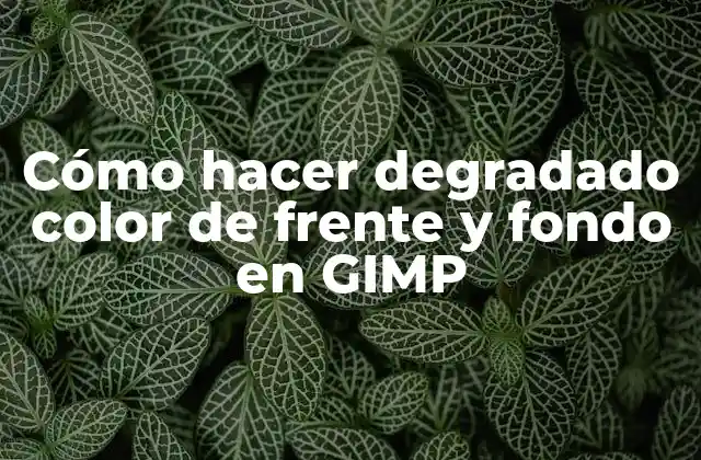 Cómo Hacer Degradado Color de Frente y Fondo en Gimp