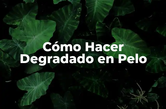 Cómo Hacer Degradado en Pelo