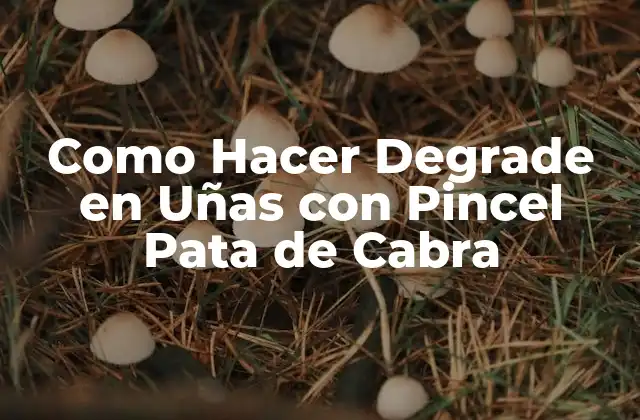 Como Hacer Degrade en Uñas con Pincel Pata de Cabra