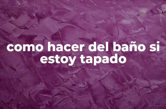 Como Hacer Del Baño Si Estoy Tapado