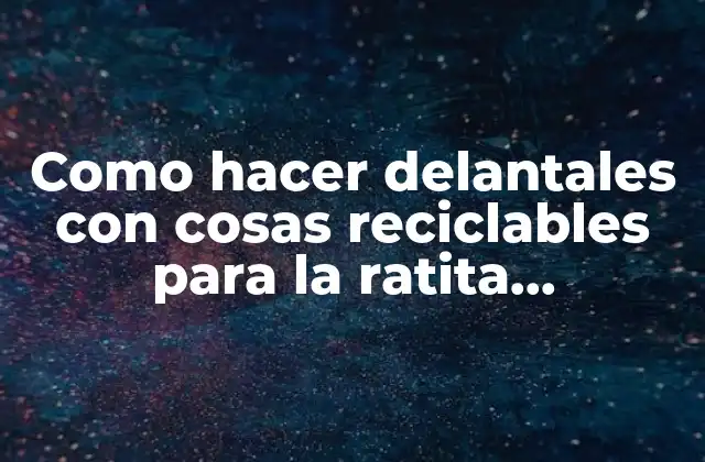 Como Hacer Delantales con Cosas Reciclables para la Ratita Presumida