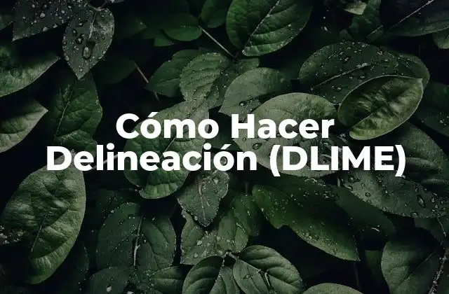 Cómo Hacer Delineación (dlime)