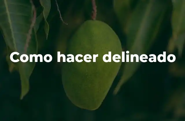 Como Hacer Delineado