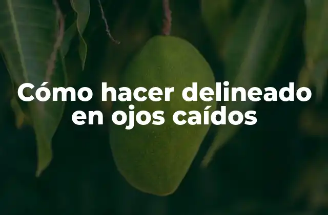 Cómo Hacer Delineado en Ojos Caídos